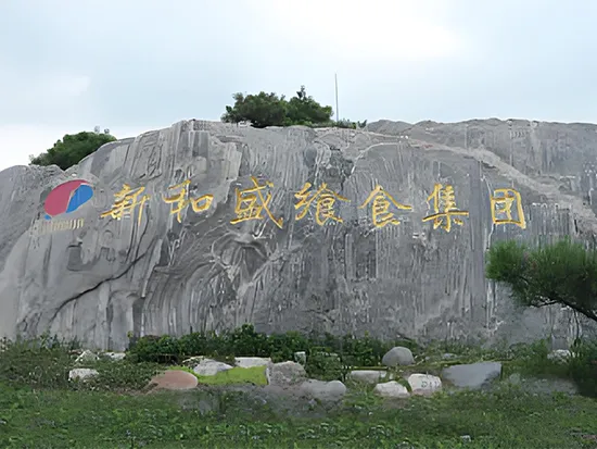 SEAHISUN: primer y mejor comprador de congelador en espiral de JET