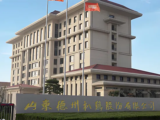 Pollo Estofado Shandong Dezhou Co., Ltd.