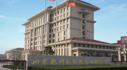 Pollo Estofado Shandong Dezhou Co., Ltd.