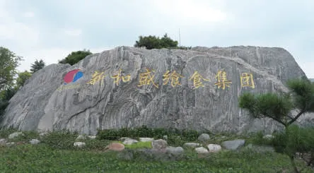 SEAHISUN: primer y mejor comprador de congelador en espiral de JET