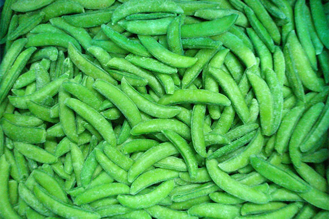 fluidized freezer manufacturer fluidized freezer manufacturer