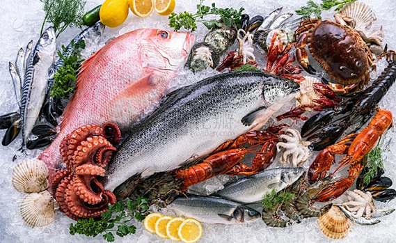 china-iqf-freezing-machine-bulk.jpg china-iqf-freezing-machine-bulk.jpg