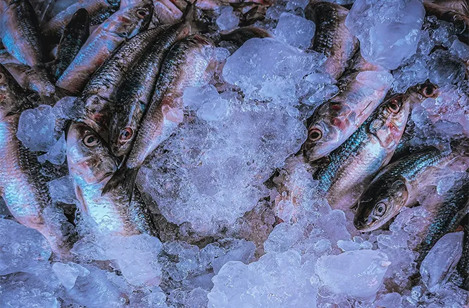 Congelación tradicional (congelación lenta)